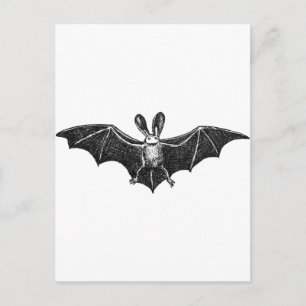 Postal Ilustracion Bat