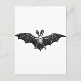 Postal Ilustracion Bat