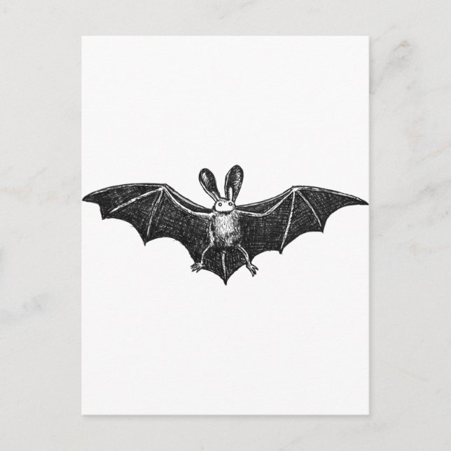 Postal Ilustracion Bat (Anverso)