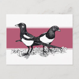Postal Ilustracion blanco y negro de los magpies