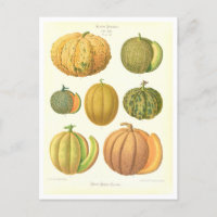 Ilustracion botánico de Melones del Catálogo de Se
