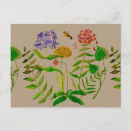Postal Ilustracion botánico en Postcard