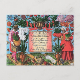 Postal Ilustracion botánico francés