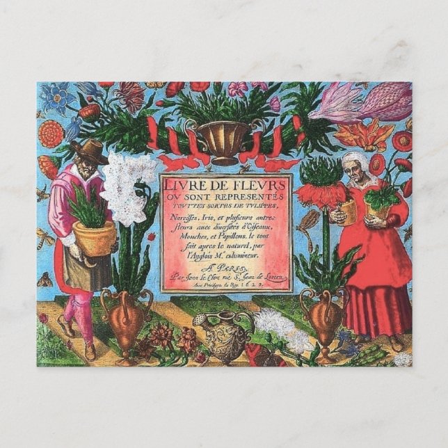 Postal Ilustracion botánico francés (Anverso)