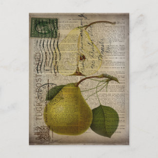Postal ilustracion botánico francés pera vintage