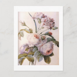 Postal ilustracion botánico vintage, rosa rosado