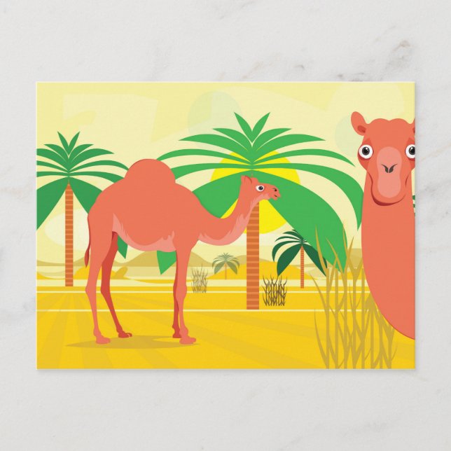 Postal Ilustracion Camels (Anverso)