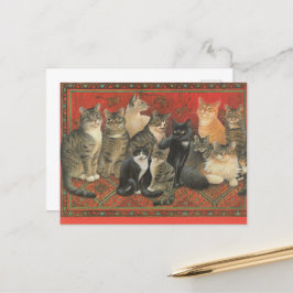POSTAL ILUSTRACION CAT POSTCARD