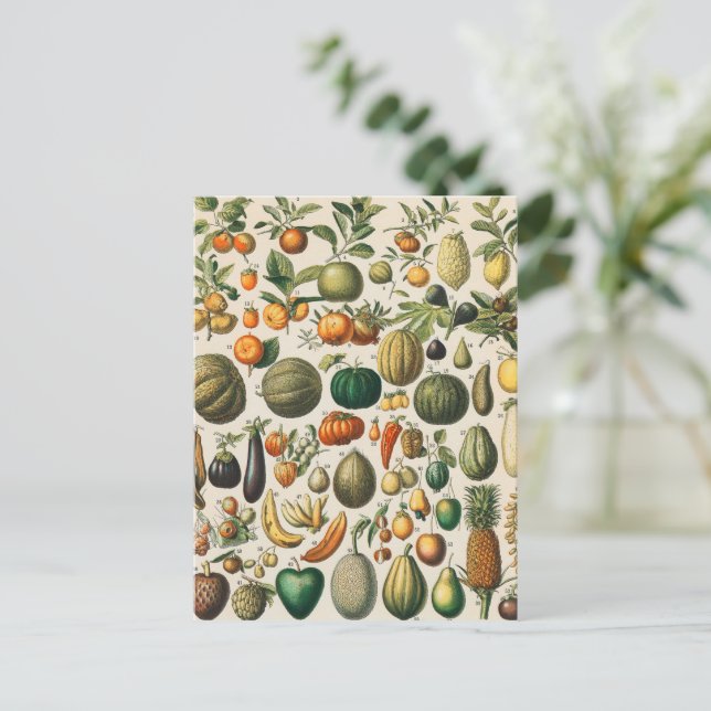 Postal Ilustracion científico botánico de frutas (Anverso de pie)