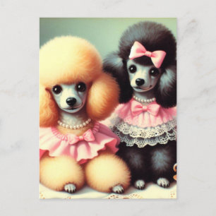 Postal Ilustracion Cute Poodle