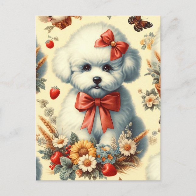 Postal Ilustracion Cute Vintage Bichon Frisé (Anverso)