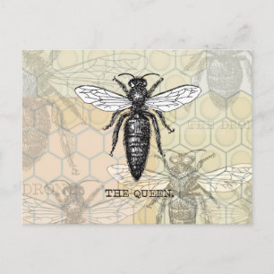 Postal Ilustracion de abejas con insectos de abejas de la