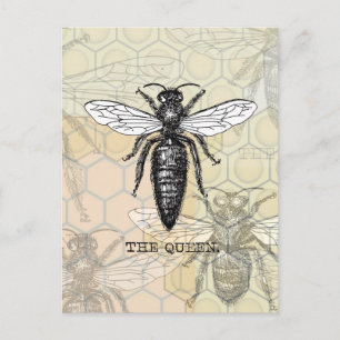 Postal Ilustracion de abejas con insectos de abejas de la