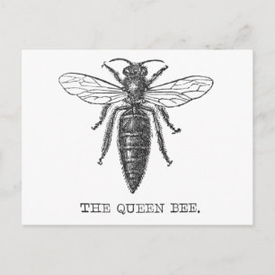Postal Ilustracion de abejas con insectos de abejas de la