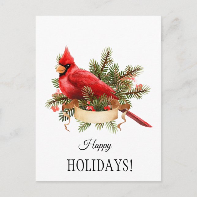 Postal Ilustracion de acuarela del cardenal rojo (Anverso)