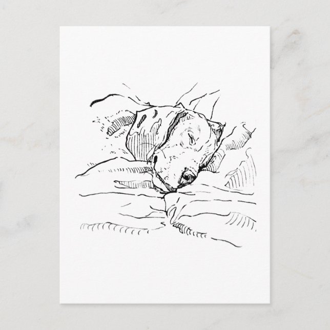 Postal Ilustración de amante de perros Beagle (Anverso)