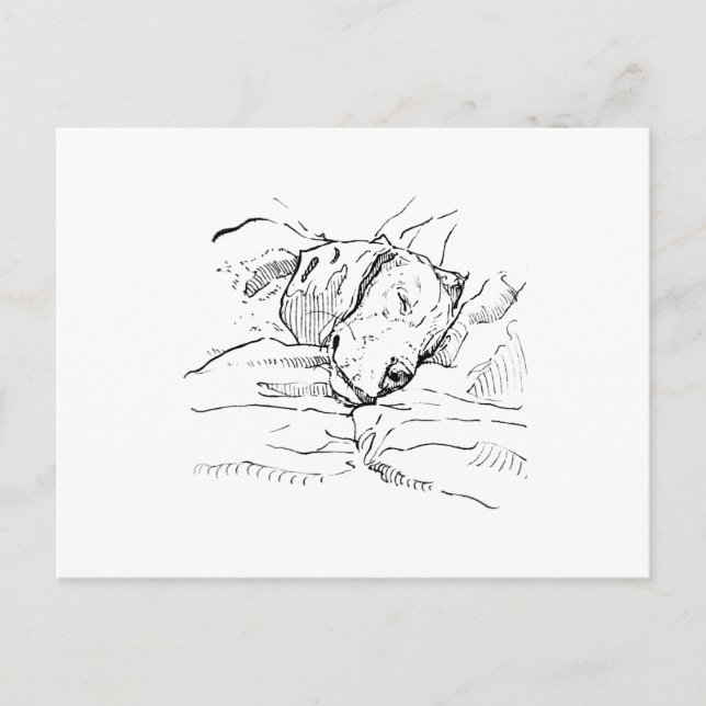 Postal Ilustración de amante de perros Beagle (Anverso)