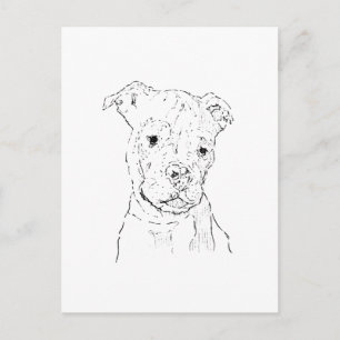 Postal Ilustración de American Staffordshire Terrier