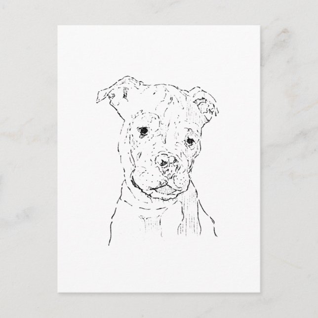Postal Ilustración de American Staffordshire Terrier (Anverso)