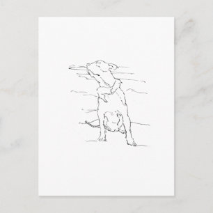 Postal Ilustración de American Staffordshire Terrier
