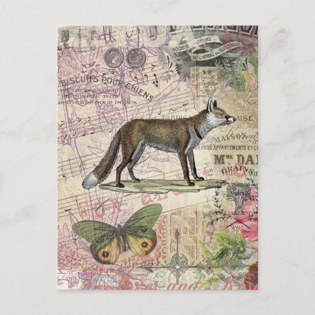 Postal Ilustracion de animales de la vida silvestre Fox (Anverso)