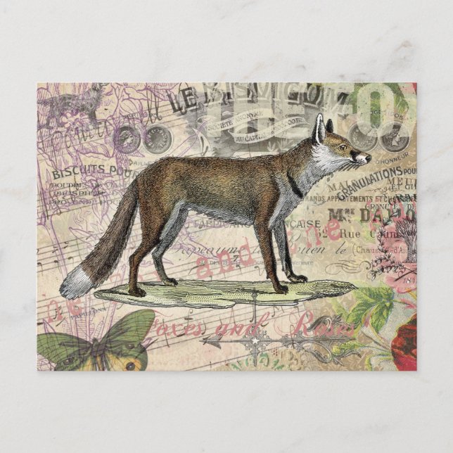 Postal Ilustracion de animales de la vida silvestre Fox (Anverso)
