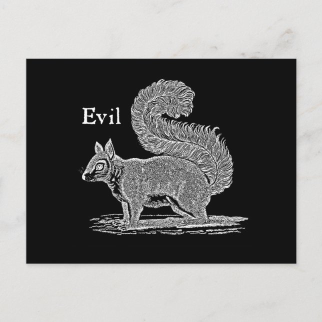 Postal Ilustracion de ardilla malvada del siglo XIX (Anverso)