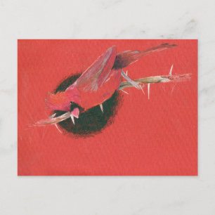 Postal Ilustracion de ave cardinal dibujando negro rojo