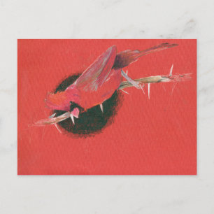 Postal Ilustracion de ave cardinal dibujando negro rojo