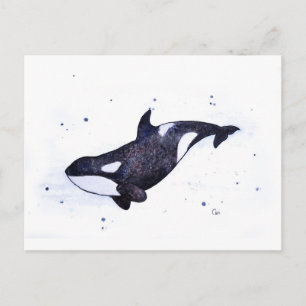 Postal Ilustracion de ballenas asesinas de Orca