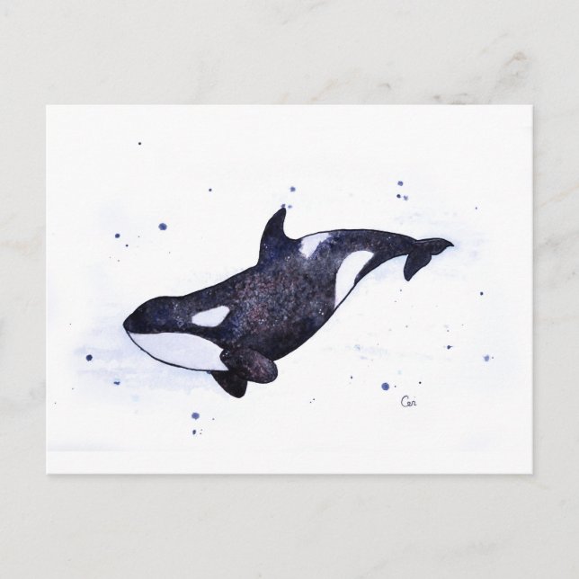 Postal Ilustracion de ballenas asesinas de Orca (Anverso)