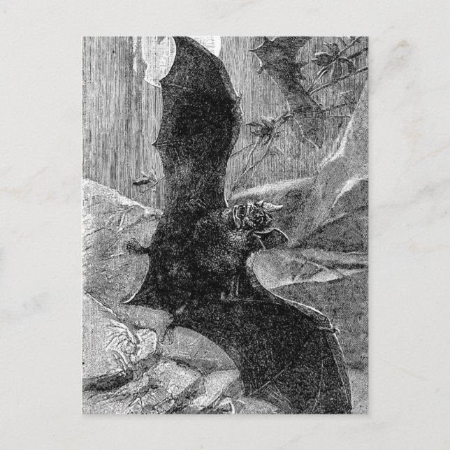Postal ilustracion de Bate de Vampiros de 1885 (Anverso)