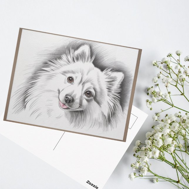 Postal Ilustración de boceto de la raza de perro Spitz ja (japanese spitz framed sketch postcard)