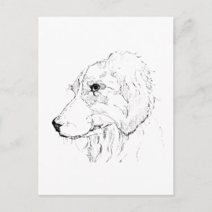 Postal Ilustración de Border Collie – Arte Minimalista