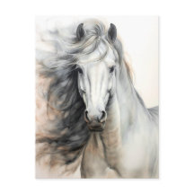 Ilustración de Caballo Blanco Postcrossing