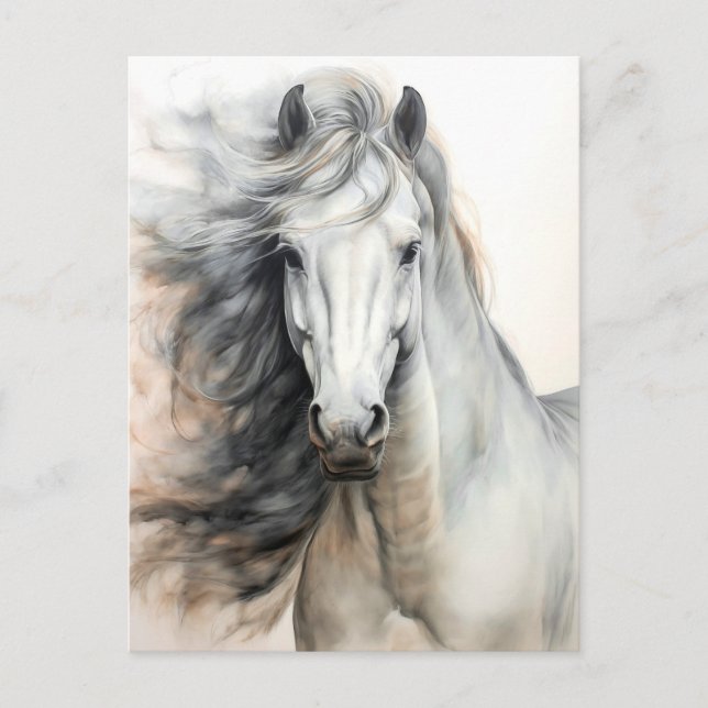 Postal Ilustración de Caballo Blanco Postcrossing (Anverso)