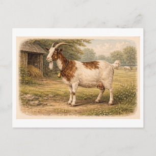 Postal Ilustración de cabra de estilo vintage