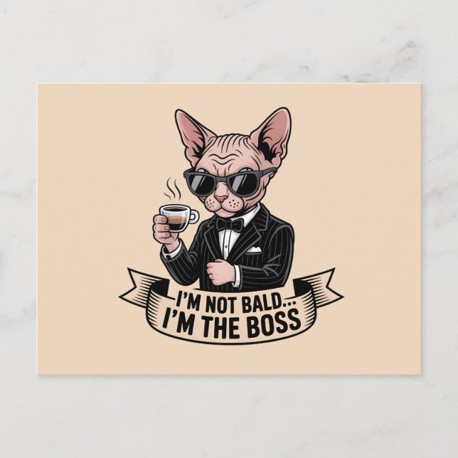 Postal Ilustración de café con gato Sphynx jefe (Anverso)