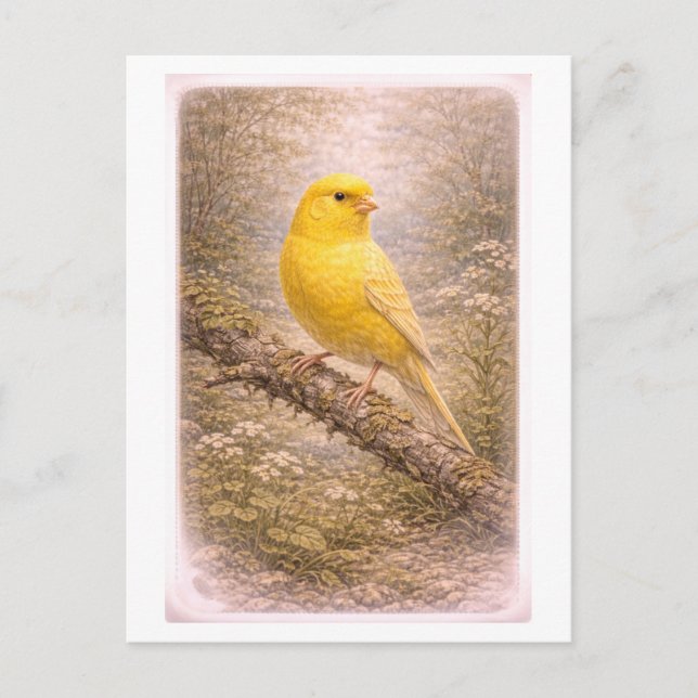 Postal Ilustración de canario de estilo vintage (Anverso)