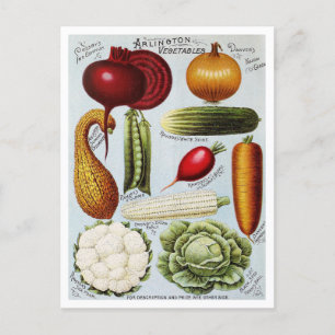 Postal Ilustracion de Catálogo de Semillas Vegetales Vint