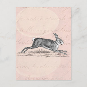Postal Ilustracion de conejo conejo de liebre veneciana -