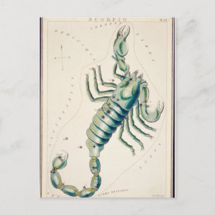 Postal Ilustracion de constelación de época