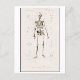 Postal Ilustracion de cosecha de esqueletos humanos