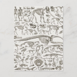 Postal Ilustracion de cosecha de huesos humanos y animale