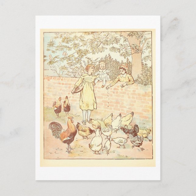 Postal Ilustracion de cosecha de pollo (Anverso)