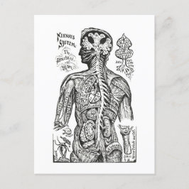 Postal Ilustracion de cosecha: Diagrama de anatomía human