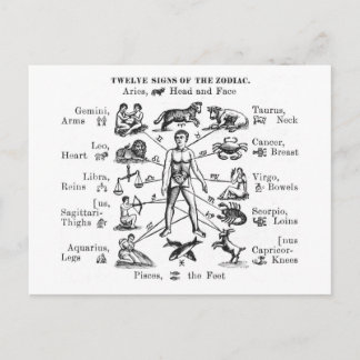 Postal Ilustracion de cosecha Doce Rótulos de Zodiac