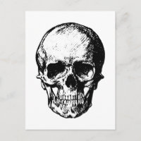 Ilustracion de cráneo blanco y negro