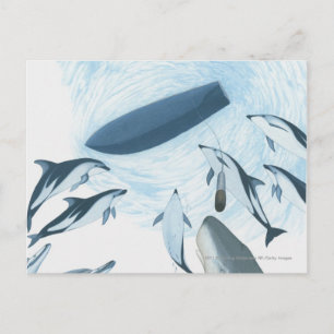 Postal Ilustracion de delfines mirando hacia un bote