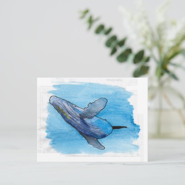 Postal Ilustracion de dibujo de animales marinos de balle (Anverso de pie)